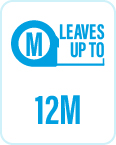 12m